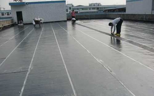 如何鑒定防水卷材和防水涂料的質(zhì)量？簡(jiǎn)單幾招保障防水效果